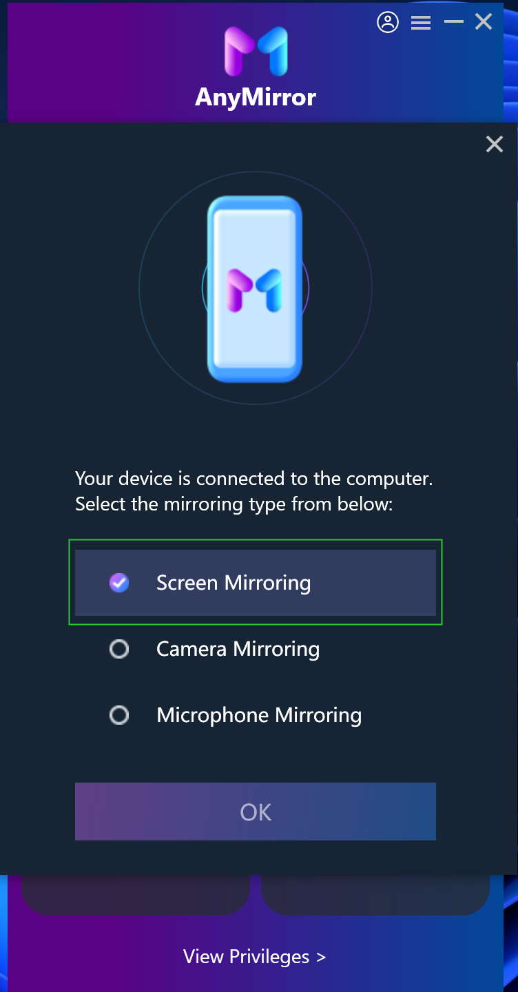 Choose Screen Mirroring On Computer