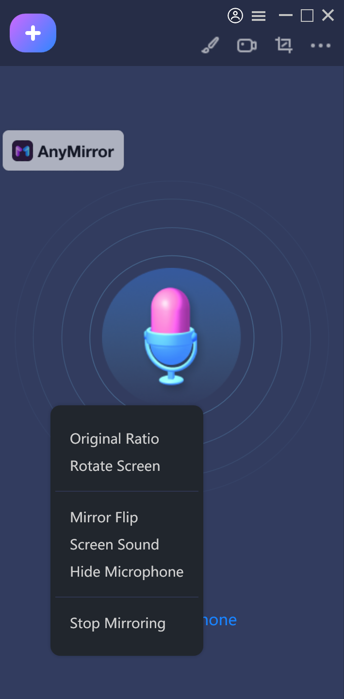 Specific Settings about Microphone